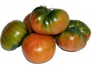 TOMATE RAF